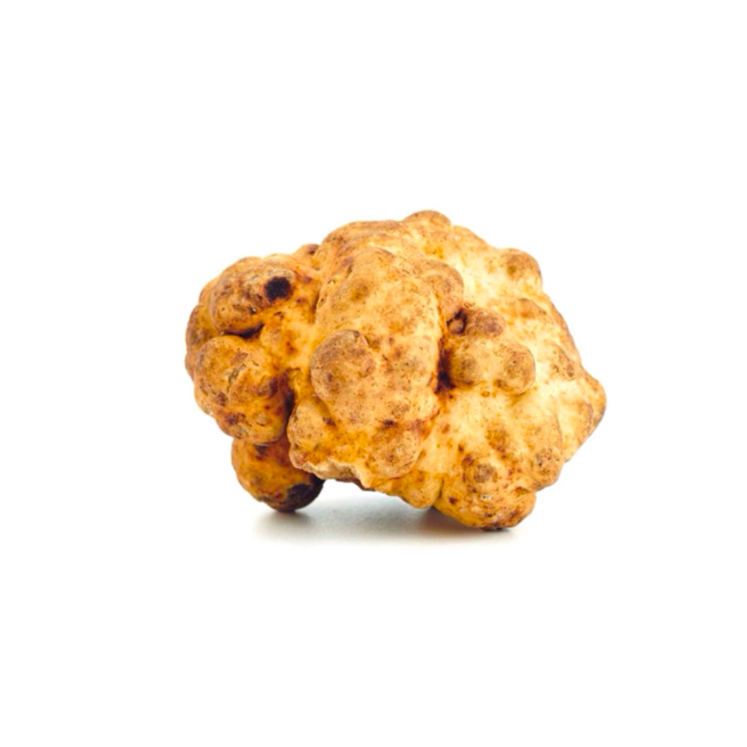 Trufa Blanca de Primavera